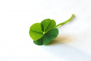 Four Leaf Clover