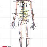 underskin-the-human-subway-map