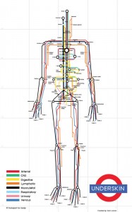 underskin-the-human-subway-map
